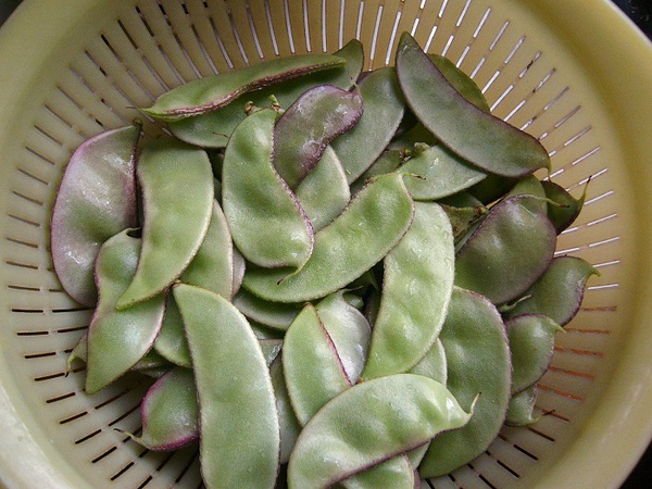 0831134945820 0831134945820