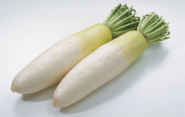 20131115005552-857458368 20131115005552-857458368