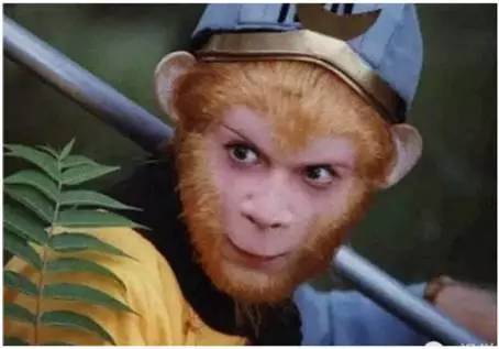 mp57073920_1454018525216_3_th mp57073920_1454018525216_3_th