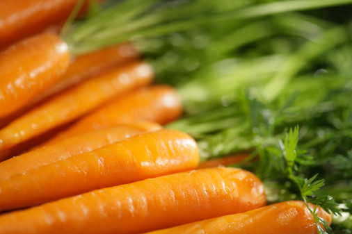 W020090127087497445541 W020090127087497445541