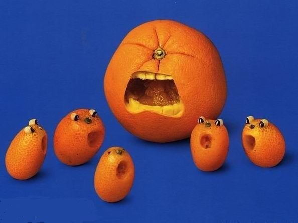 25151754737 25151754737