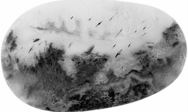 1446172588 1446172588