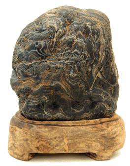 W020090626359942166418 W020090626359942166418