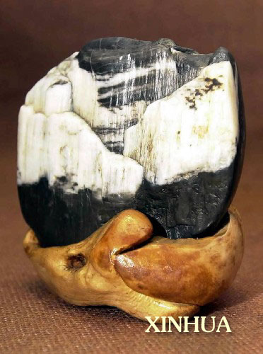 xinsrc_310201191608696393551 xinsrc_310201191608696393551