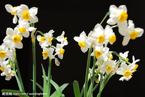 2008319125544562_2 2008319125544562_2