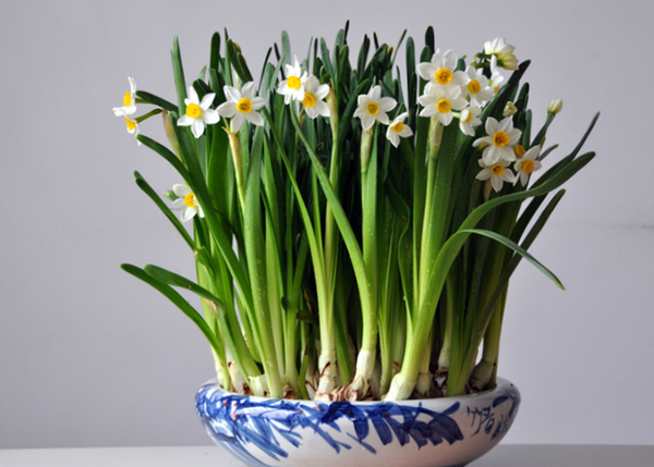 2014080537258113 2014080537258113