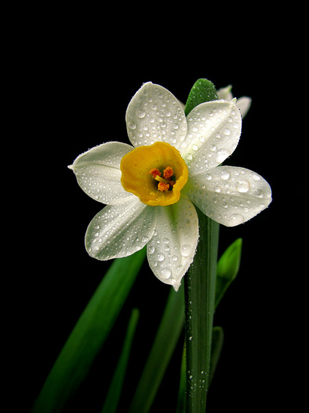 userid4041time20120128054656at87 userid4041time20120128054656at87