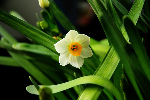 W020120716410949749010 W020120716410949749010