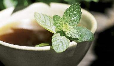 u=3583634354,3207883499&fm=21&gp=0 u=3583634354,3207883499&fm=21&gp=0