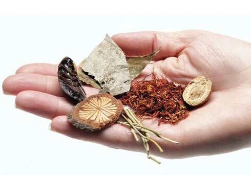 1-140P313152J48 1-140P313152J48