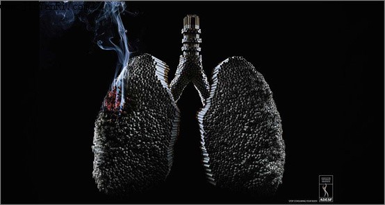 20090626074118243 20090626074118243