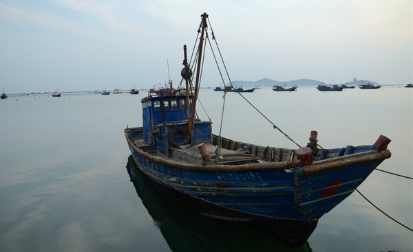 C20160207008-zx3 C20160207008-zx3