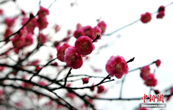 聚焦2016春节年俗之“变” 当春节遇上“互联网+” 聚焦2016春节年俗之“变” 当春节遇上“互联网+”