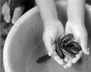 931455781851261573 931455781851261573