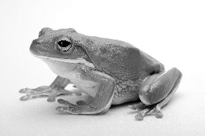 6578720883089321958 6578720883089321958