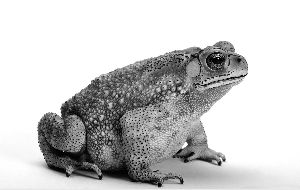 7709924256066674194 7709924256066674194