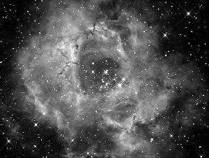 玫瑰星云看上去像一朵怒放的玫瑰 资料图片 玫瑰星云看上去像一朵怒放的玫瑰 资料图片