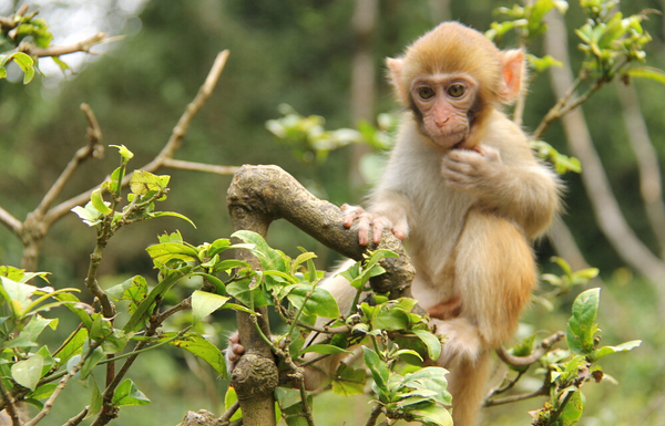 20160214140140 20160214140140