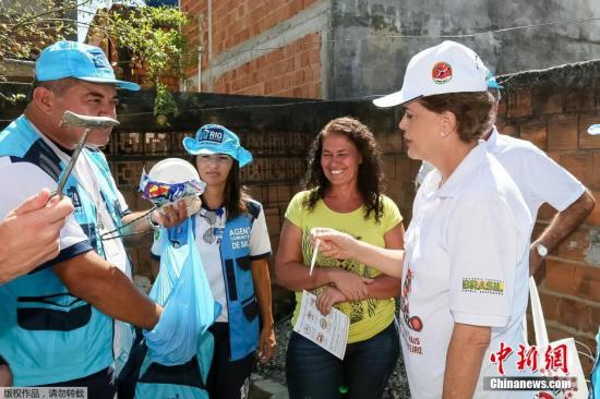 巴西官员警告寨卡疫情或扩散至该国人口稠密城市 巴西官员警告寨卡疫情或扩散至该国人口稠密城市