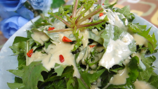 d446bc811c1d46f76f39e07369649224 d446bc811c1d46f76f39e07369649224