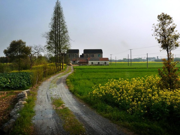 走得再远也别忘家 走得再远也别忘家