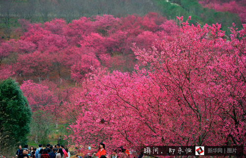 128722464_14555822619951n