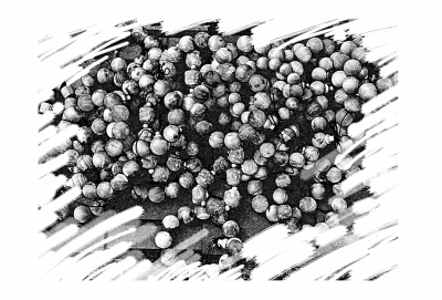 疯狂的手串迅速降温 疯狂的手串迅速降温