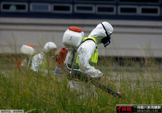 当地时间1月29日，阿根廷首都布宜诺斯艾利斯，工作人员进行烟熏灭蚊。