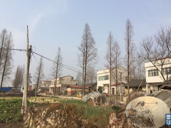 152e508a48b1033fe70deb75.jpg!custom600 152e508a48b1033fe70deb75.jpg!custom600