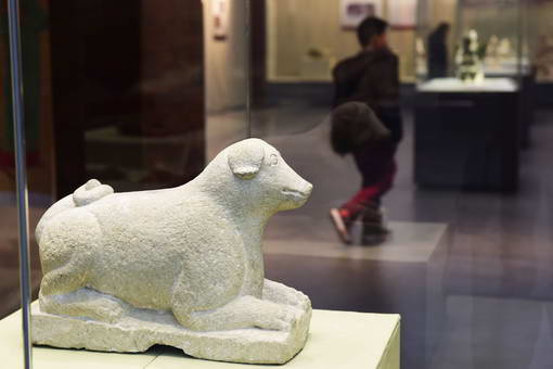 11569493_999999 11569493_999999