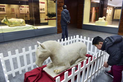 11569496_990007 11569496_990007