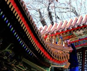 5122050363507315764 5122050363507315764