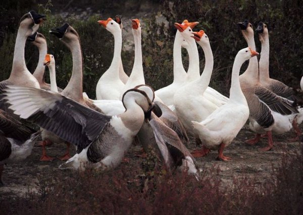 0024UbMqgy6GjGeZXoB59&690 0024UbMqgy6GjGeZXoB59&690