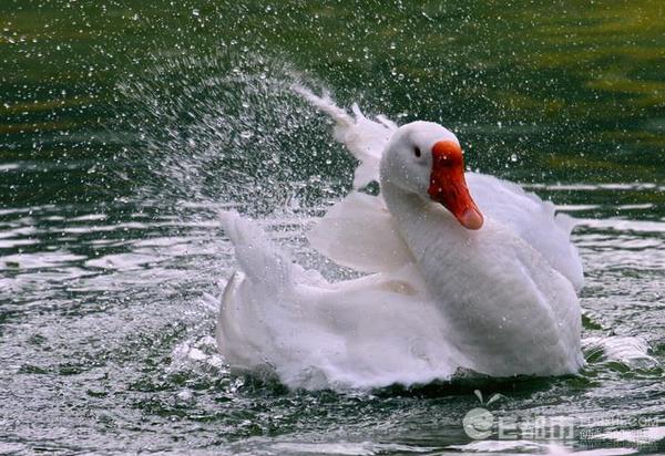 851354654ecf440aa09cfc6f8d5fbac4 851354654ecf440aa09cfc6f8d5fbac4