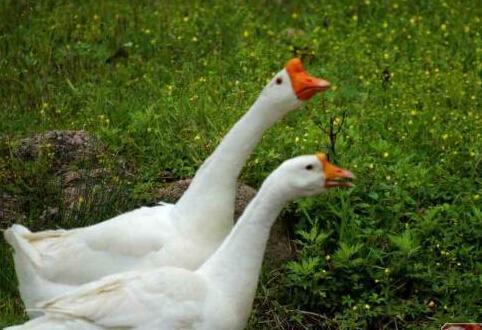 1455682110315 1455682110315