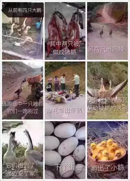 1455672193437805 1455672193437805