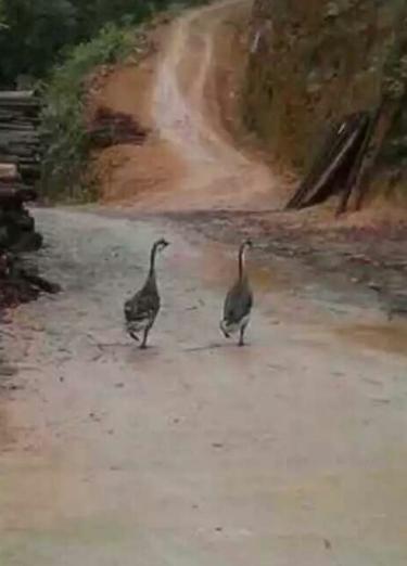 5182150325556135313 5182150325556135313