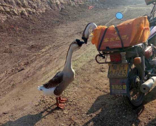 f8bc1288853e182e5b2702 f8bc1288853e182e5b2702