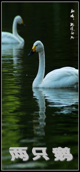 T1QzDQB4hT1RXrhCrK_640_640 T1QzDQB4hT1RXrhCrK_640_640