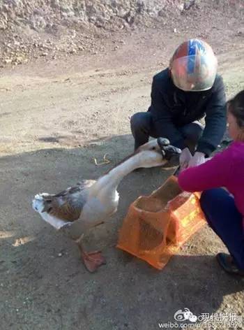 097000d0c0440c5a3fb40f673fdc0676 097000d0c0440c5a3fb40f673fdc0676