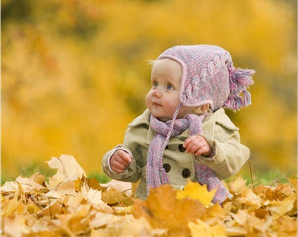 1f54abde2292fcaeb0807468a77cc845 1f54abde2292fcaeb0807468a77cc845