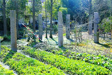 7根石柱引热议上海或首次发现古代私家船坊遗址