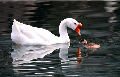 rdn_53a957828cb02 rdn_53a957828cb02