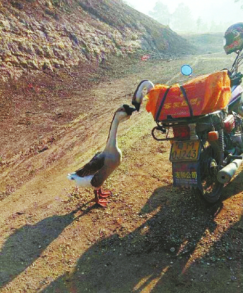 20160218064624601 20160218064624601