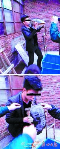 资料图：小伙疑放生鳄龟玩“吻别” 被咬住嘴唇。