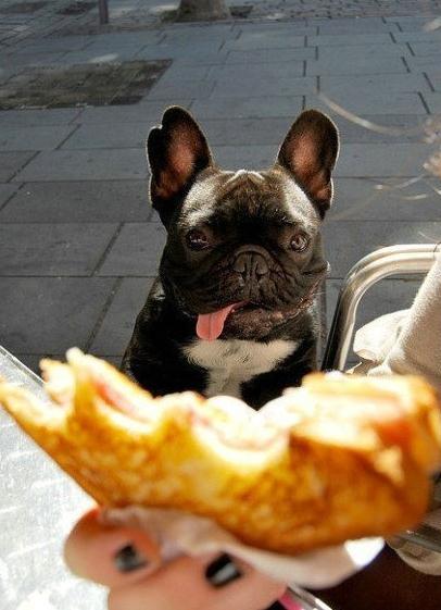 Img362692259 Img362692259