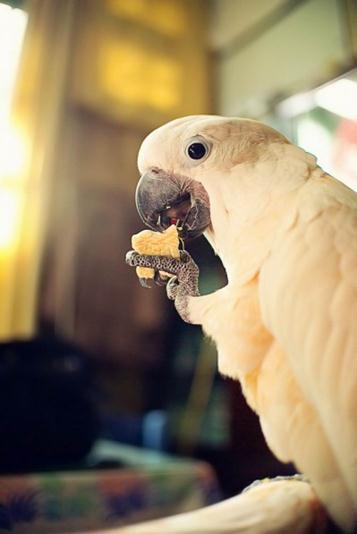 Img362692264 Img362692264