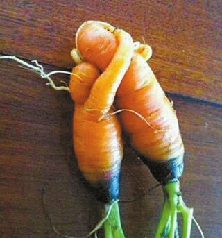 201272195831I1HT8 201272195831I1HT8