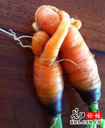 W020150820576962894496 W020150820576962894496