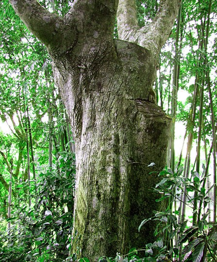 20131212103802-1971579244 20131212103802-1971579244